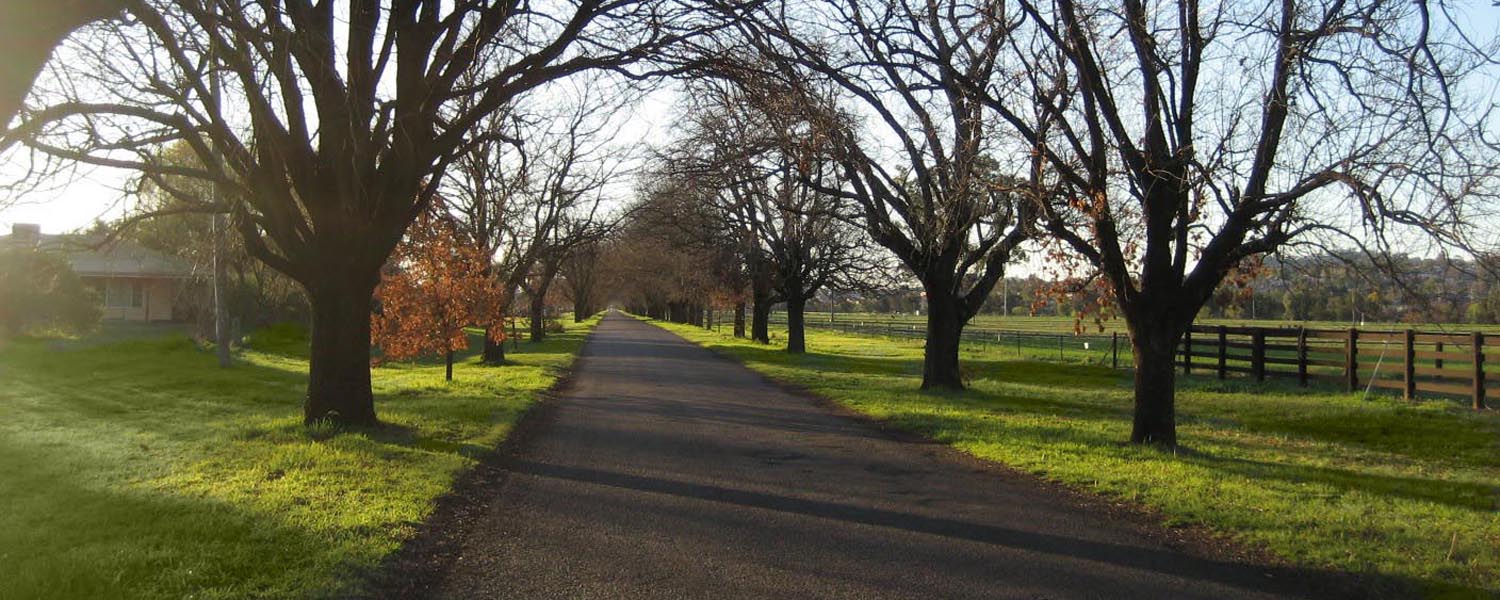 King George Avenue Tamworth